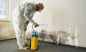  , USA Mold Prevention & Removal Pros